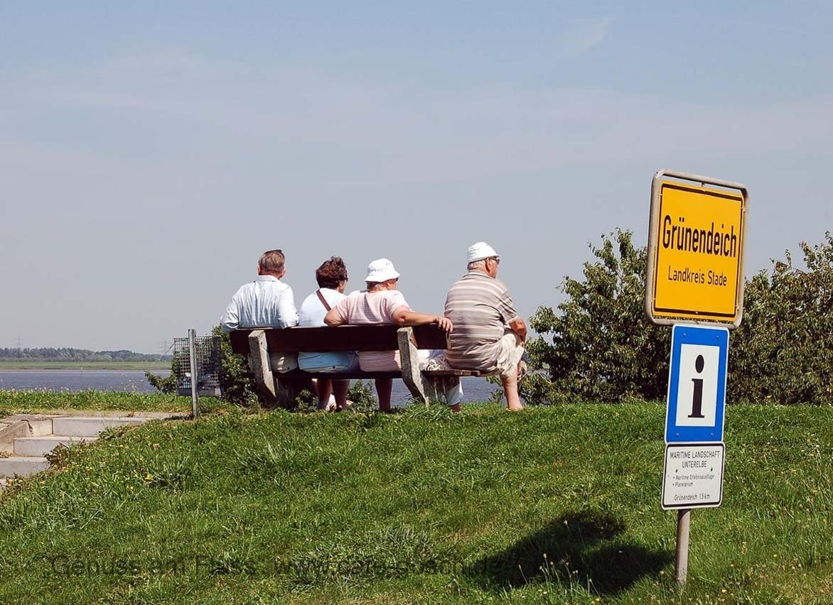 Fewo Blankenese Im Haus Luehegarten Grünendeich Екстериор снимка